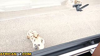 bubble butt ebony slut dominated rough by american monster cock safari?