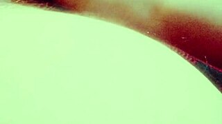 dominican amateur couple shares bbw blowjob in caribbean heat