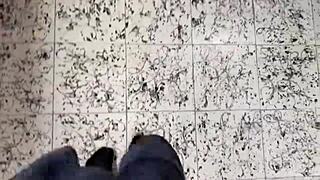 chica timida latina seducida y follada duro