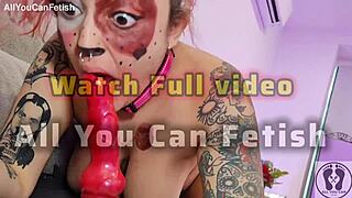 promo pooch rubbing couch and masturbates with dildo