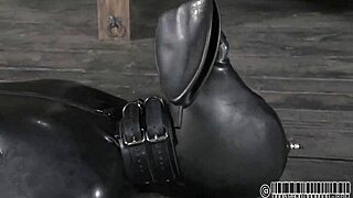 S&m serf collar