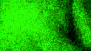 gostoso encontro com morena