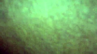 Big Ass Booty Shaking On The Dance Floor With Fat Curves And Juicy Moves.