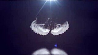 peruvian pornstar shakes her big oily ass for anal fucking