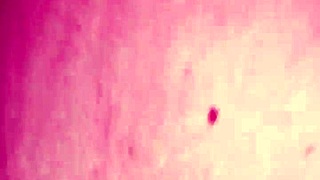 i'm juicy pussy creampied, amateurs cumshot everywhere