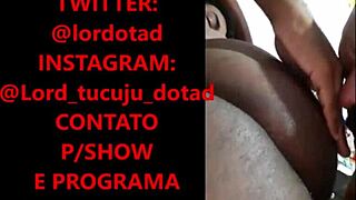 i compiled these lordotado tucuju amadors for you