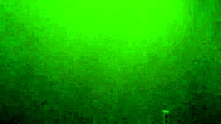 Homemade fun with friends