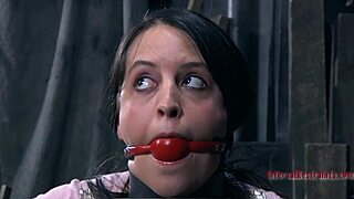 watch this brunette sweetheart toy her moistened cunny with bdsm vibes?