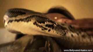 Wow, check this Oriental beauty dancing solo... so hot! 🔥