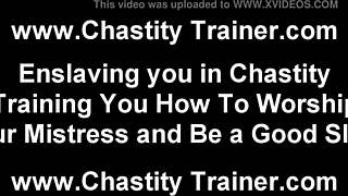 steel cock cage locks you in bondage