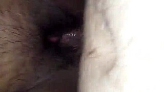 argentina rosarina, fuck without condom