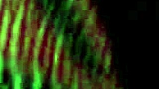 Black pussy video from July 30