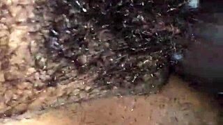 Trim Ef3497Dd-C05D-41D8-Bd74-A8939509Bd21 Mov