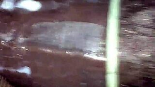 Trim Ef3497Dd-C05D-41D8-Bd74-A8939509Bd21 Mov