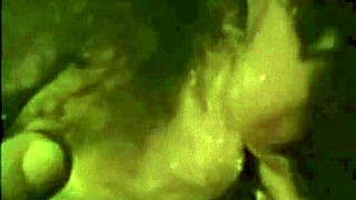 dark lantern presents the dragonfly