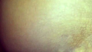 Shaved pussy videos on Xvideos