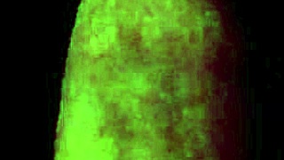 wife sucking my cock