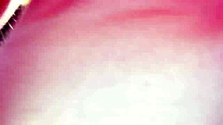 German car enthusiasts enjoying a drive