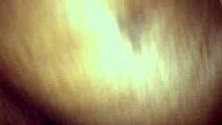 Dread head Candy Giver performs wet pussy deep throat with long hair