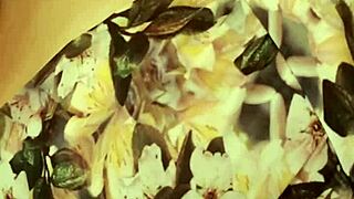 novinha moaning deliciously in homemade masturbation part 1