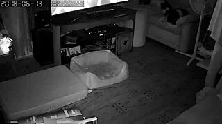 Wife Gives Intense Blowjobs to Her Husband