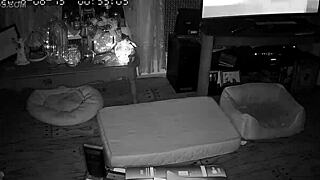 Wife Gives Intense Blowjobs to Her Husband