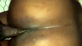 African Diaspora Explored in Bold Cultural Narrative!