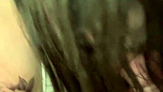 what's in this update from november?