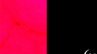 esposinha liberada dando para o fixo no pelo.