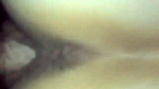 wife reverse cowgirl amazing fuck with hairy riding wet ass