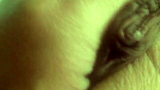 mi verga dice, 'quiero vaciarme en tu panocha?'