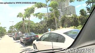 Subtle Homo Encounters For Free