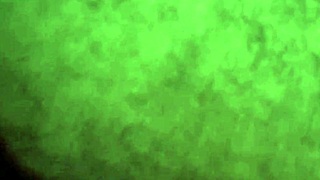 macho takes morning coffee milk in bed