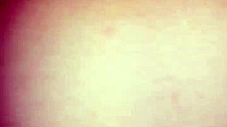 i saw a hairy beaver on that date