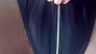 verification video of the model