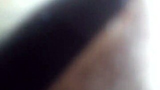 i saw a hairy beaver on that date