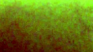 Big white ass in creampie scene.