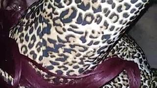 bitch can't get enough of my cock, begging for more