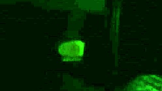 Persian girl in arab cowgirl ride.