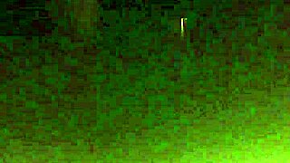 Mi Cuñada Y Yo En Una Aventura Amateur