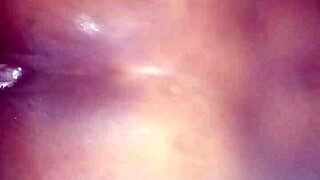 fucking busty stellas huge boobs