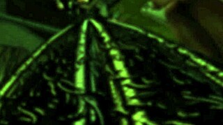 Lady Aranea in latex licks mistress in bdsm fantasy 😈.