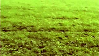 why’s this british pissing exhibitionist so daring?