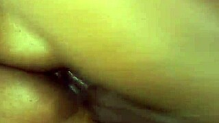 Lilpuddingbowls Ebony Pussy and Big Tits Tease.