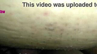 my husband catches me cheating with a young bull at home