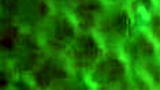 Peruvian girl lets uber driver play with pussy