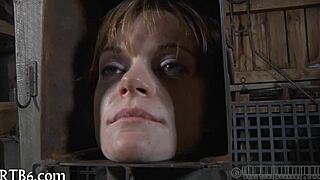 Four petite beauties explore a miniature cage together