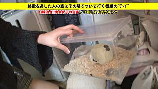 Asian Babe Squirts While Sucking Shaved Japanese Cock