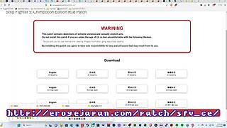 Review of strip fighter 5 game