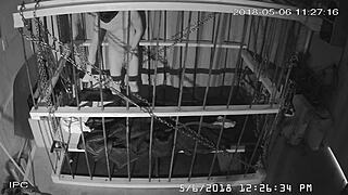 Watch The Cagecam Bondage Feed!